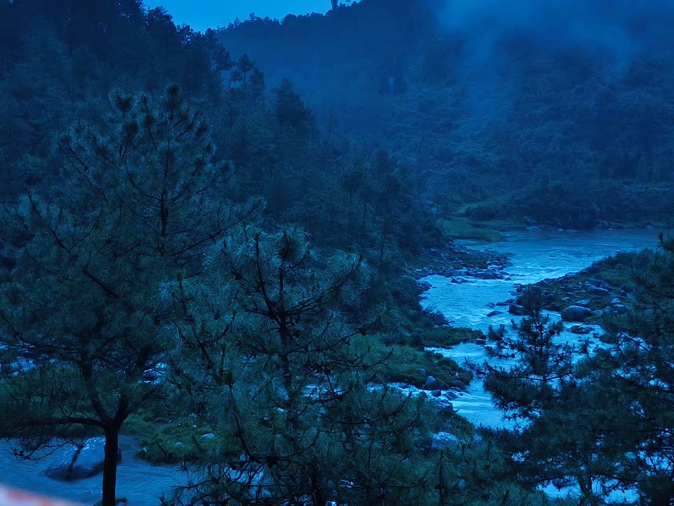 The moonriver in deep pre-dawn blue, winding below the pines