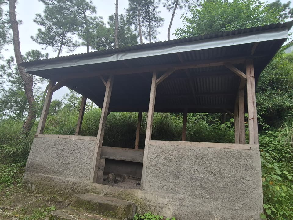 The open-air cooking shed among the pines