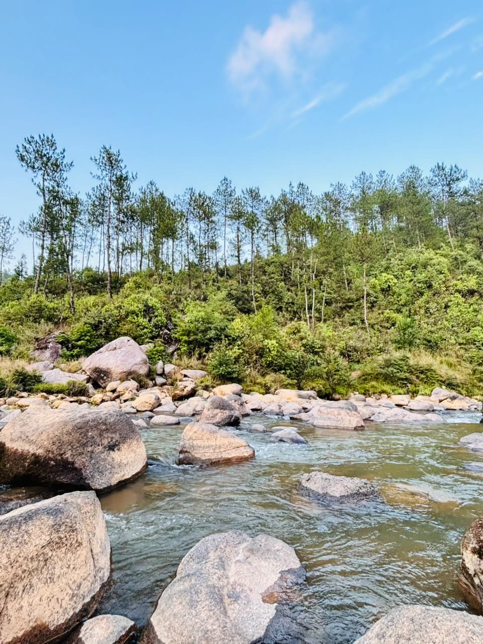 The moonriver at midday — clear water running between granite boulders under the pines